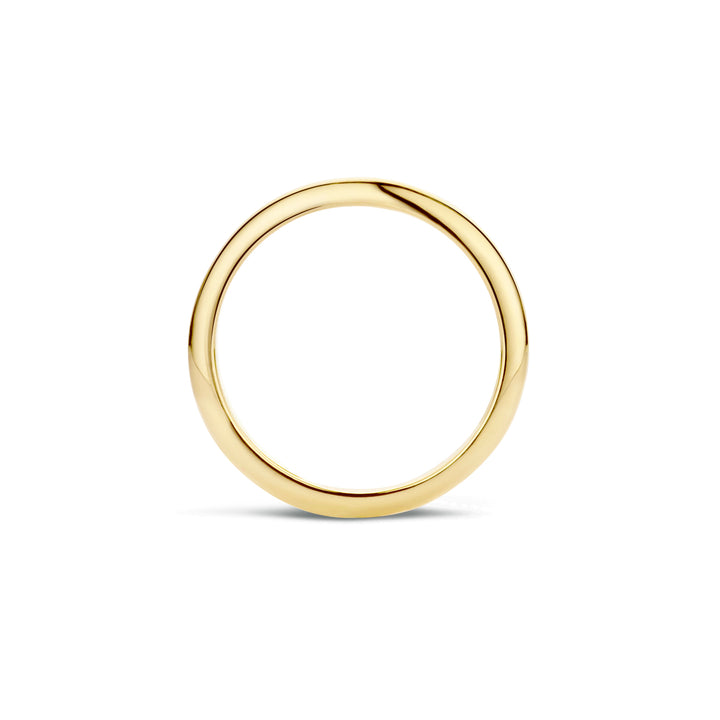 Blush Ring 1117YGO -  Geel Goud (14k)