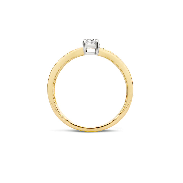 Blush Ring 1125BZI -  Geel en Wit Goud (14k) met Zirkonia