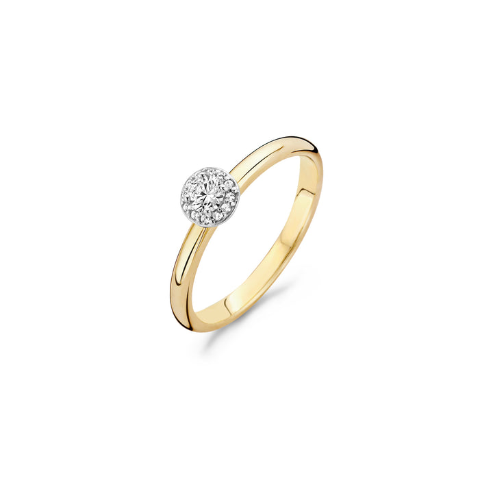 Blush Ring 1131BZI -  Geel en Wit Goud (14k) met Zirkonia