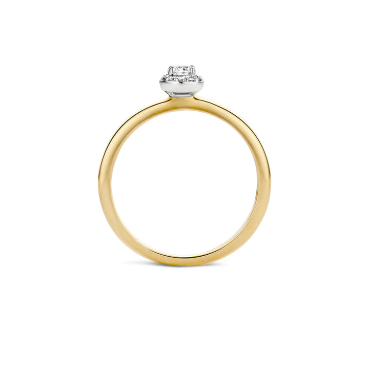 Blush Ring 1131BZI -  Geel en Wit Goud (14k) met Zirkonia