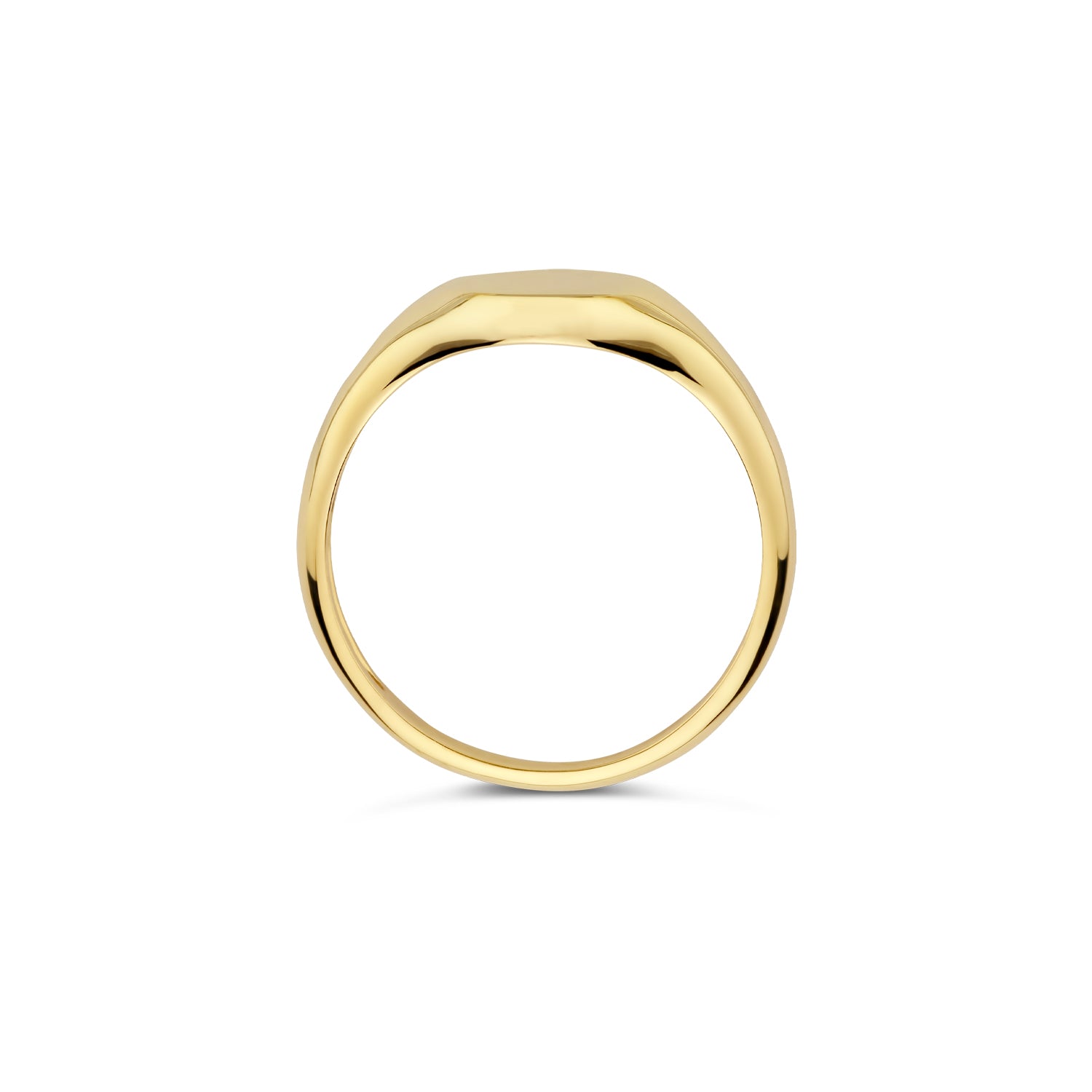 Blush Ring 1190YGO - Geel Goud (14k)