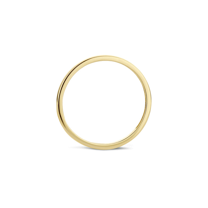 Blush Ring 1197YGO - Geel Goud (14k)