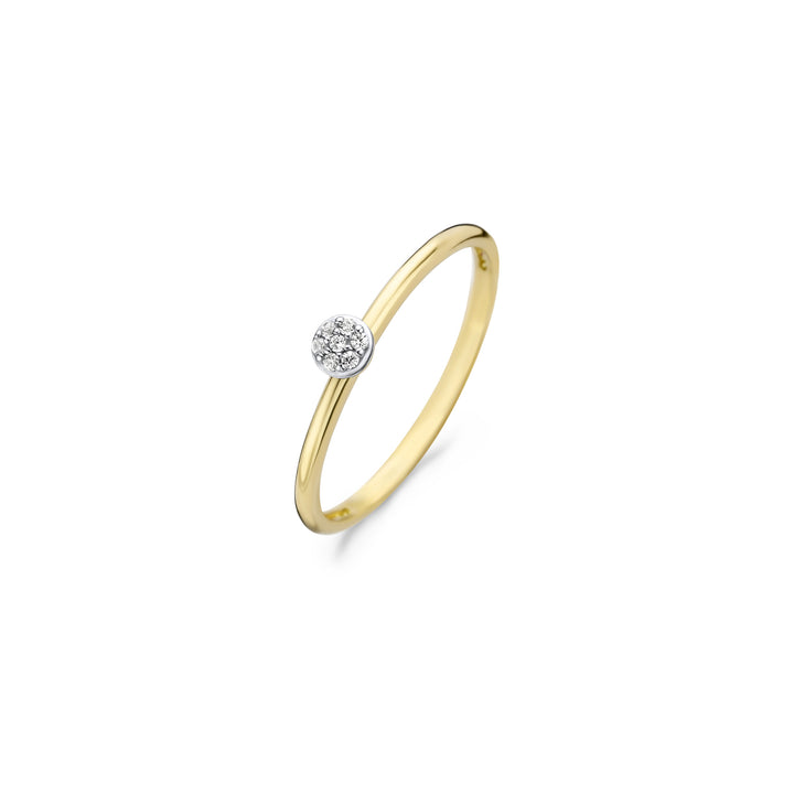 Blush Ring 1199YZI - Geel Goud (14k) met Zirkonia