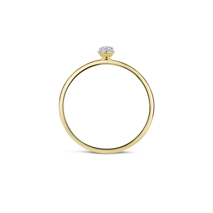 Blush Ring 1199YZI - Geel Goud (14k) met Zirkonia