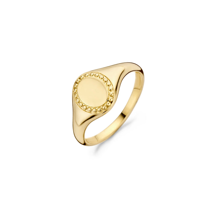 Blush Ring 1205YGO - Geel Goud (14k)