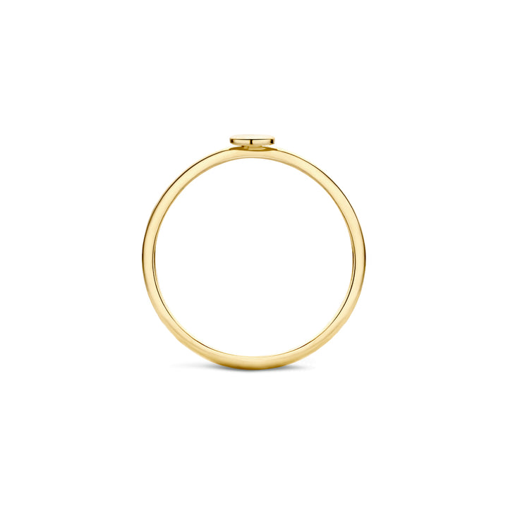 Blush Ring 1212YGO - Geel Goud (14k)