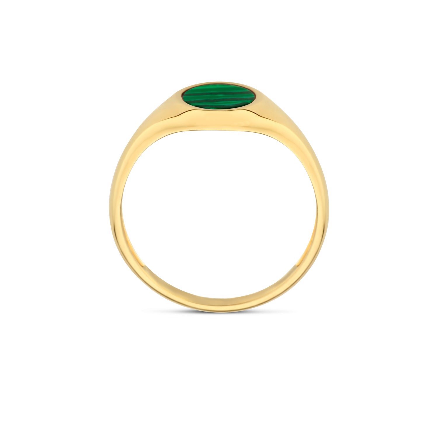 Blush Zegelring 1214YMA - Geel Goud met  (14k) met Malachiet