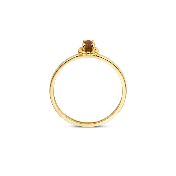 Blush Ring 1225YCB - Geel Goud met (14k) met Cat's eye Brown