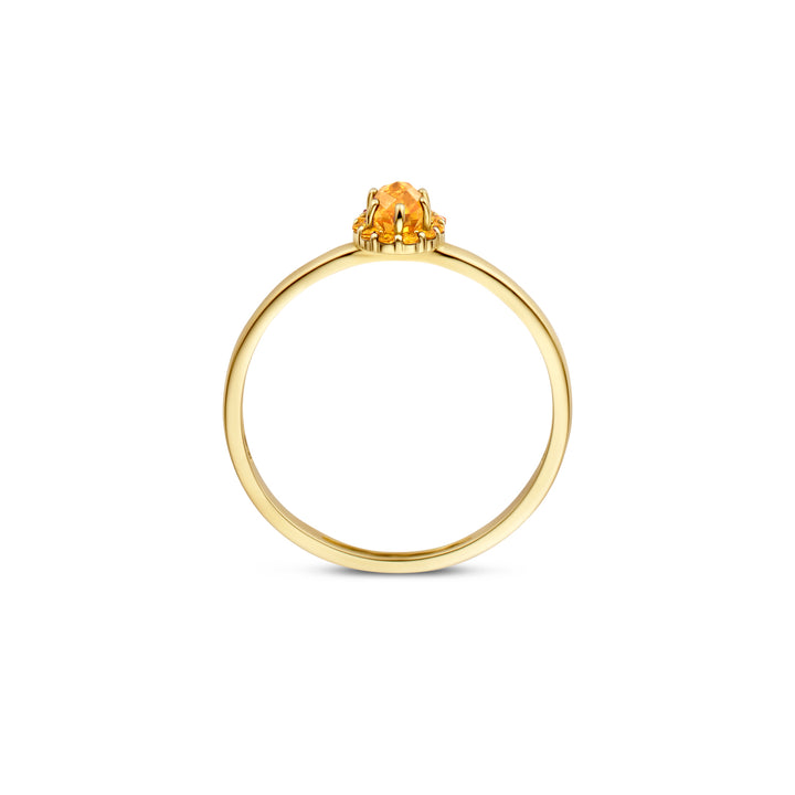 Blush Ring 1226YCI - Geel Goud met Citrine (14k)