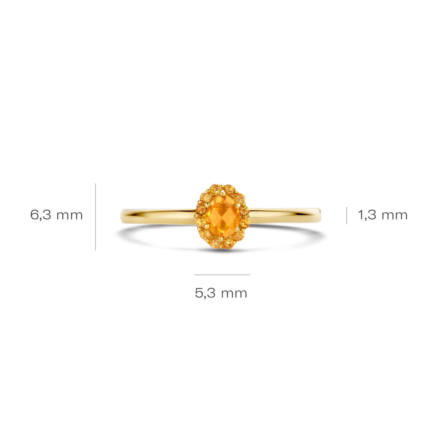 Blush Ring 1226YCI - Geel Goud met Citrine (14k)