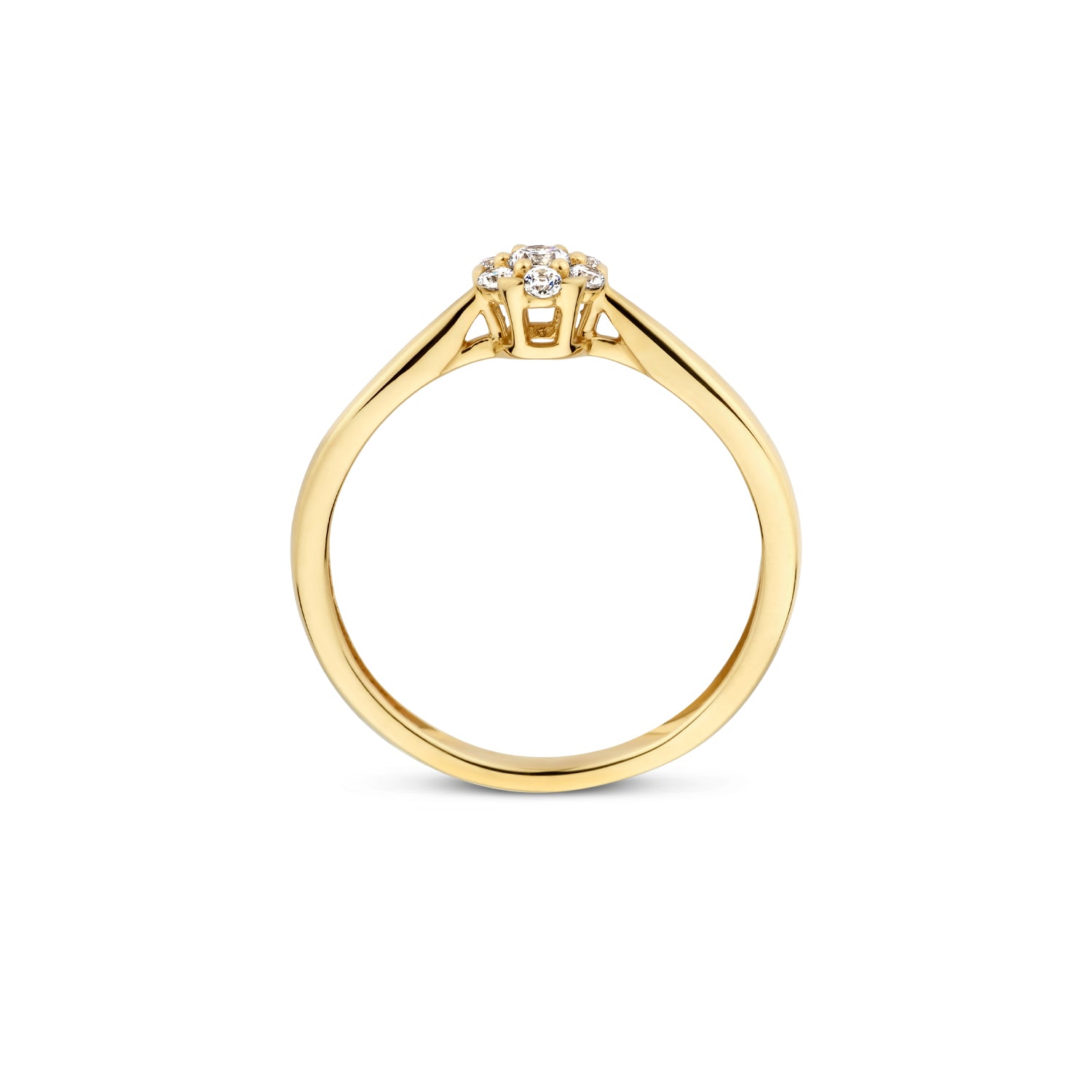 Blush Ring 1248YZI -  Geel Goud (14k) met Zirkonia