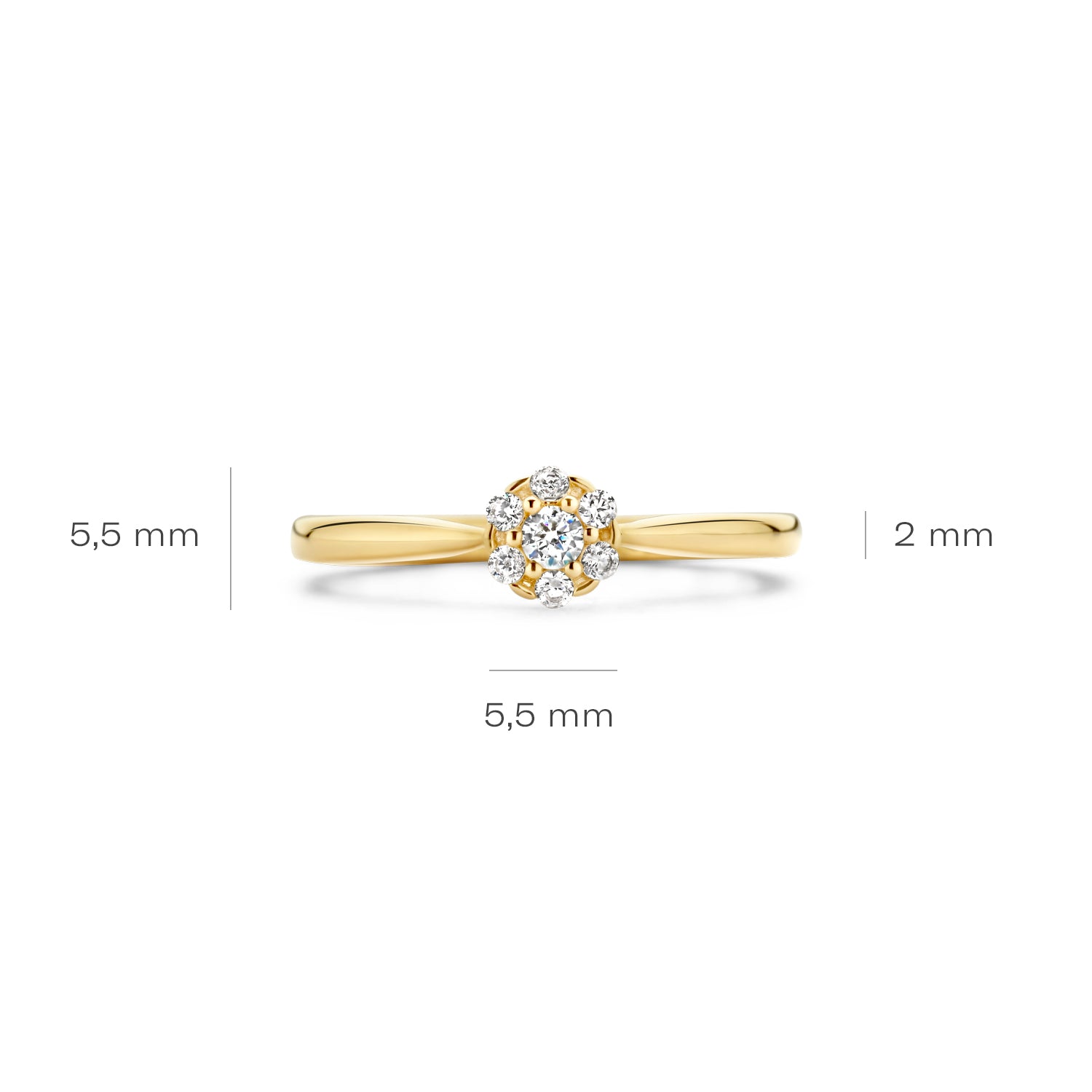 Blush Ring 1248YZI -  Geel Goud (14k) met Zirkonia