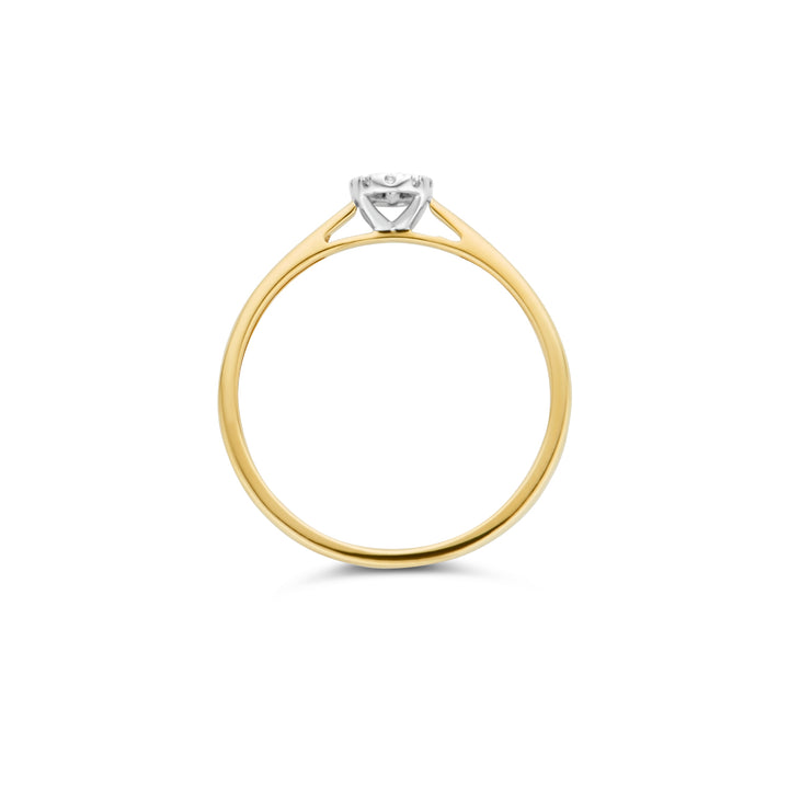 Blush Natural Diamonds Ring 1647BDI