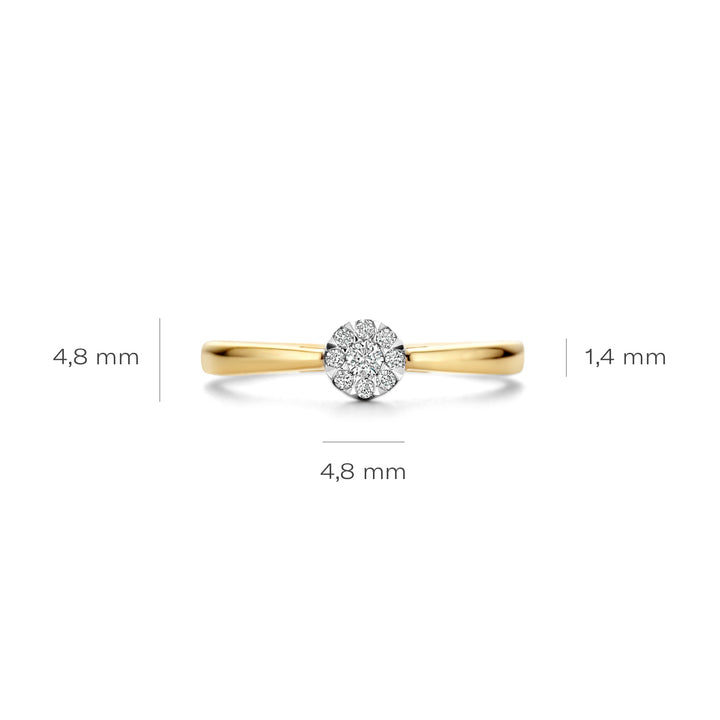 Blush Natural Diamonds Ring 1676BDI