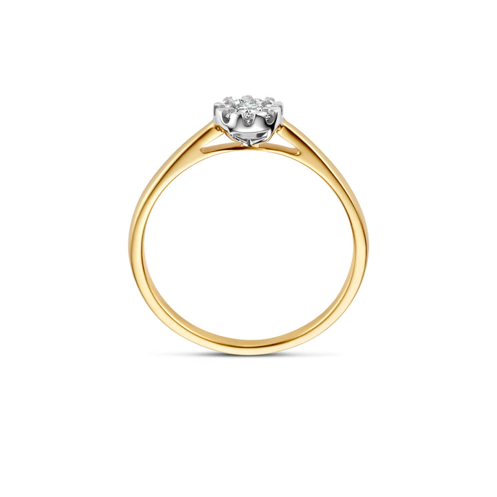 Blush Natural Diamonds Ring 1677BDI