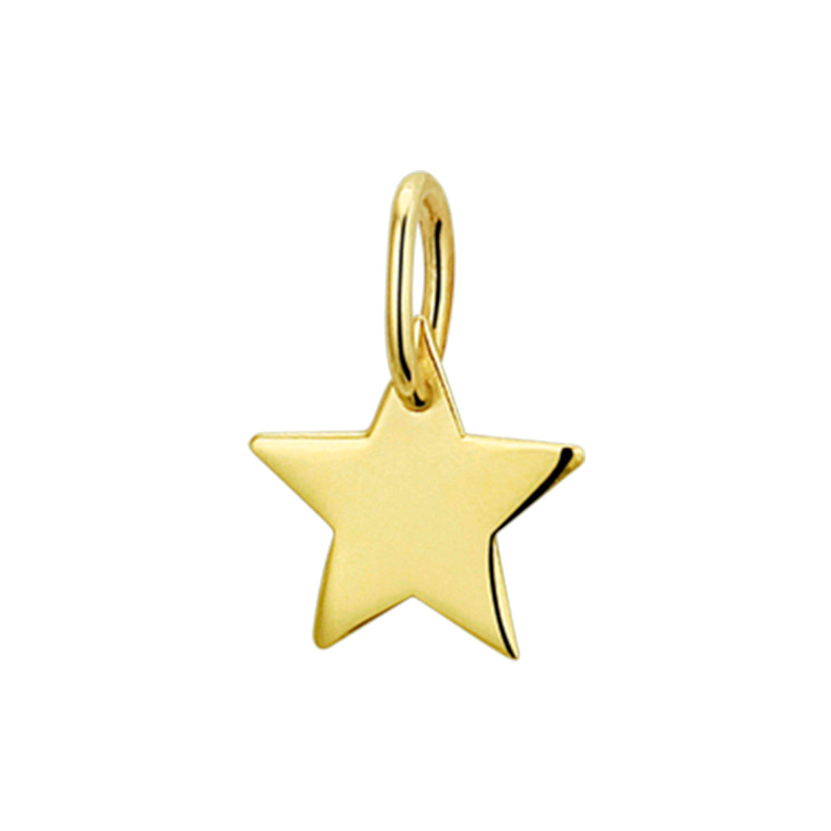 14krt geelgouden hanger ster | 9,8x14mm