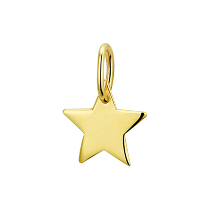 14krt geelgouden hanger ster | 9,8x14mm