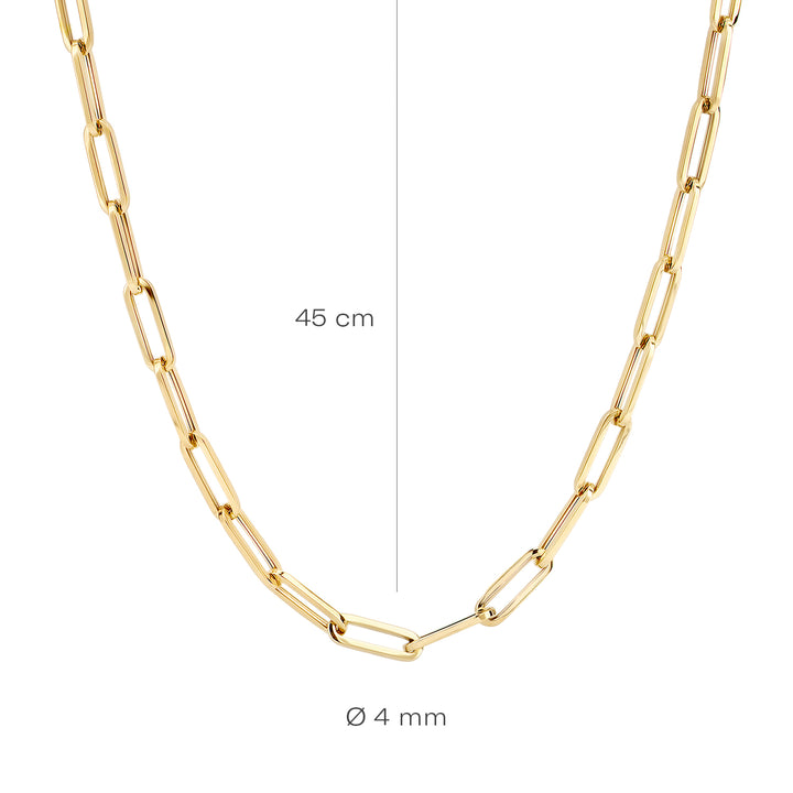 Blush Collier 3101YGO - Geel Goud (14k)