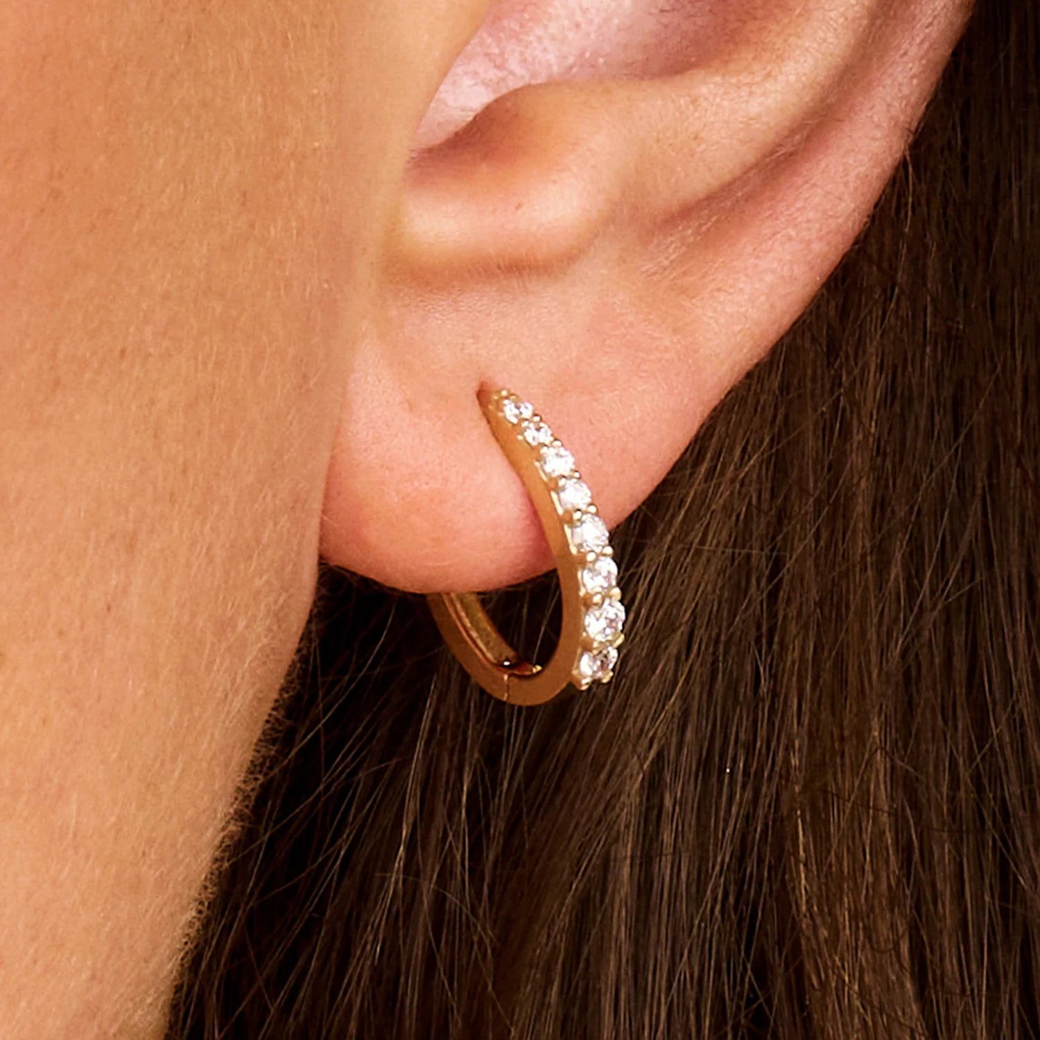 Blush Oorringen met zirkonia in 14k Goud - 7341YZI