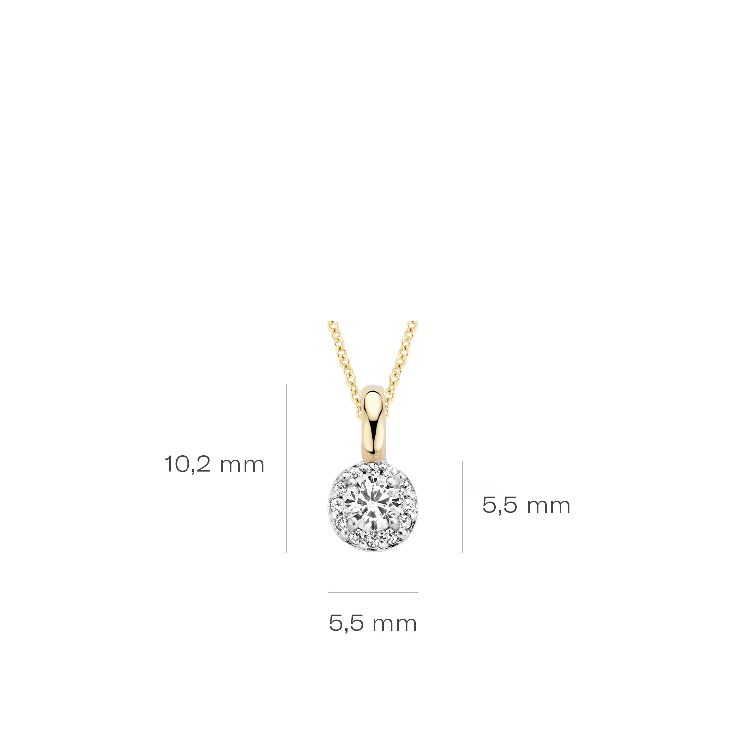 Blush Hanger 6064BZI -  Geel en Wit Goud (14k) met Zirkonia