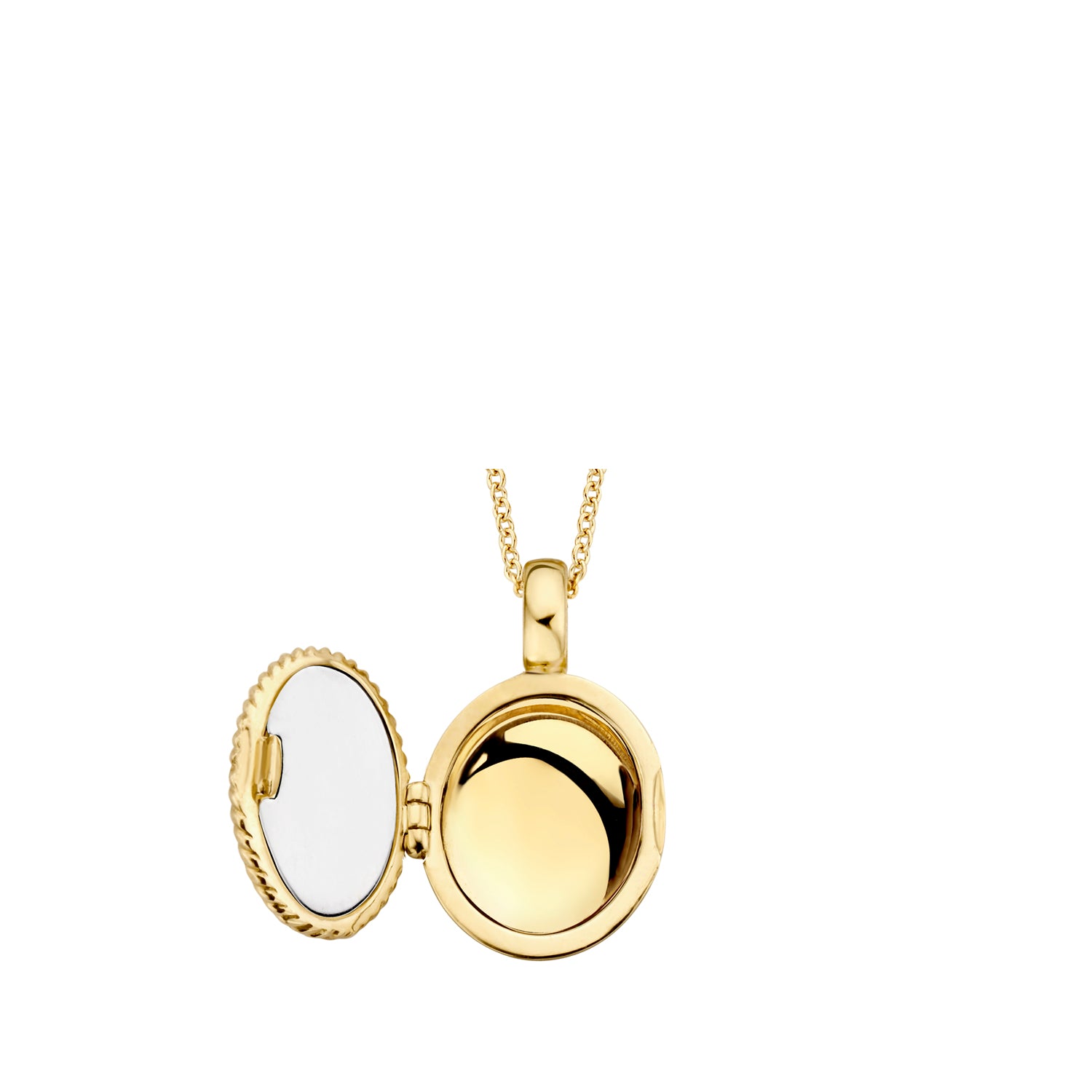 Blush Medallion 6081YGO - Geel Goud (14k)