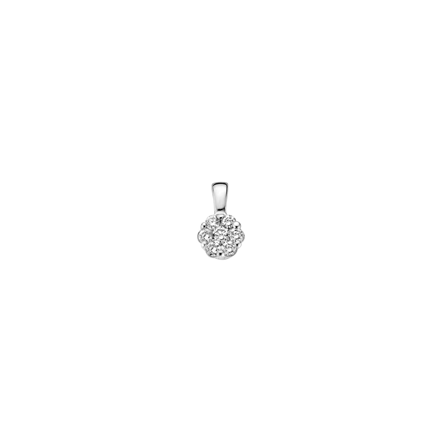 Blush Natural Diamonds Hanger 6604WDI