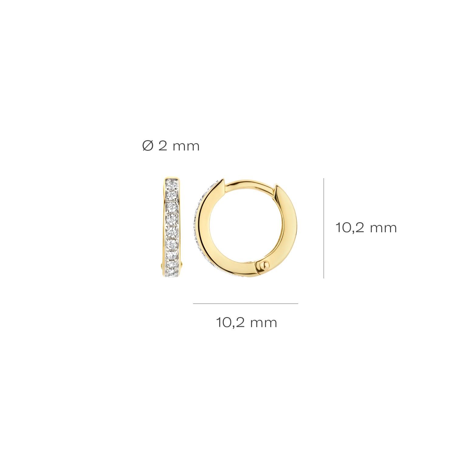 Blush Oorbellen 7129BZI -  Geel en Wit Goud (14k) met Zirkonia