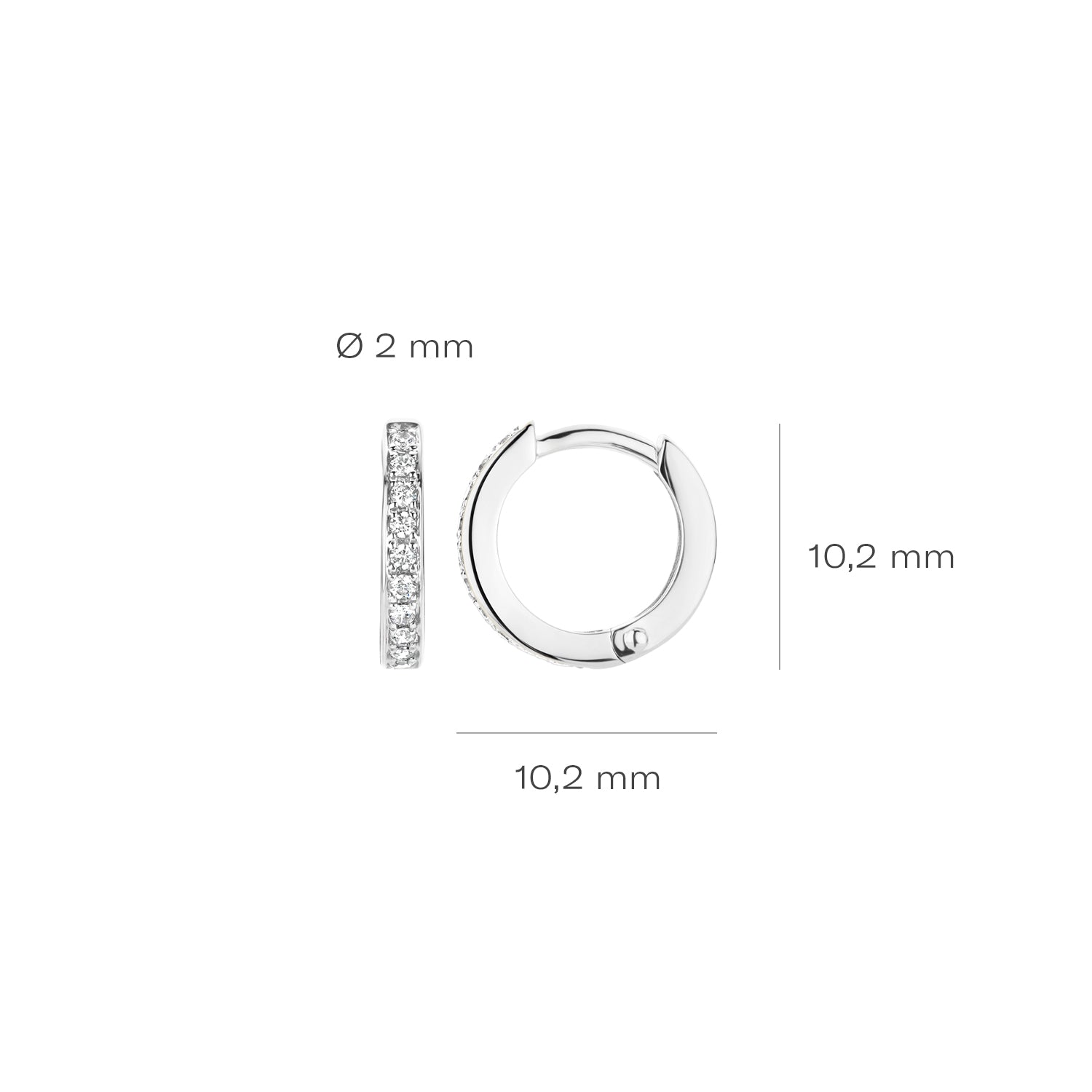 Blush Oorbellen 7129WZI -  Wit Goud (14k) met Zirkonia