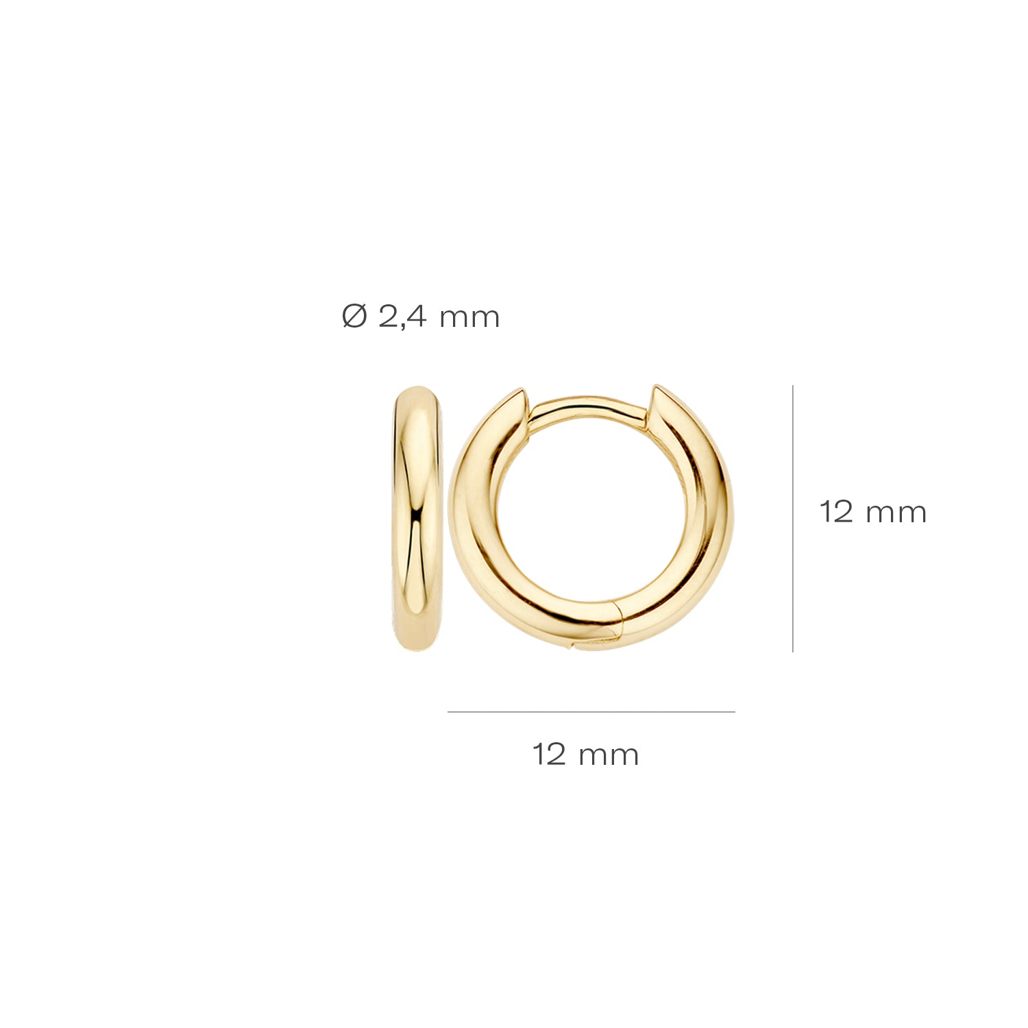 Blush Oorbellen 7133YGO -  Geel Goud (14k)