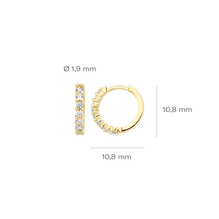 Blush Oorbellen 7134YZI -  Geel Goud (14k) met Zirkonia