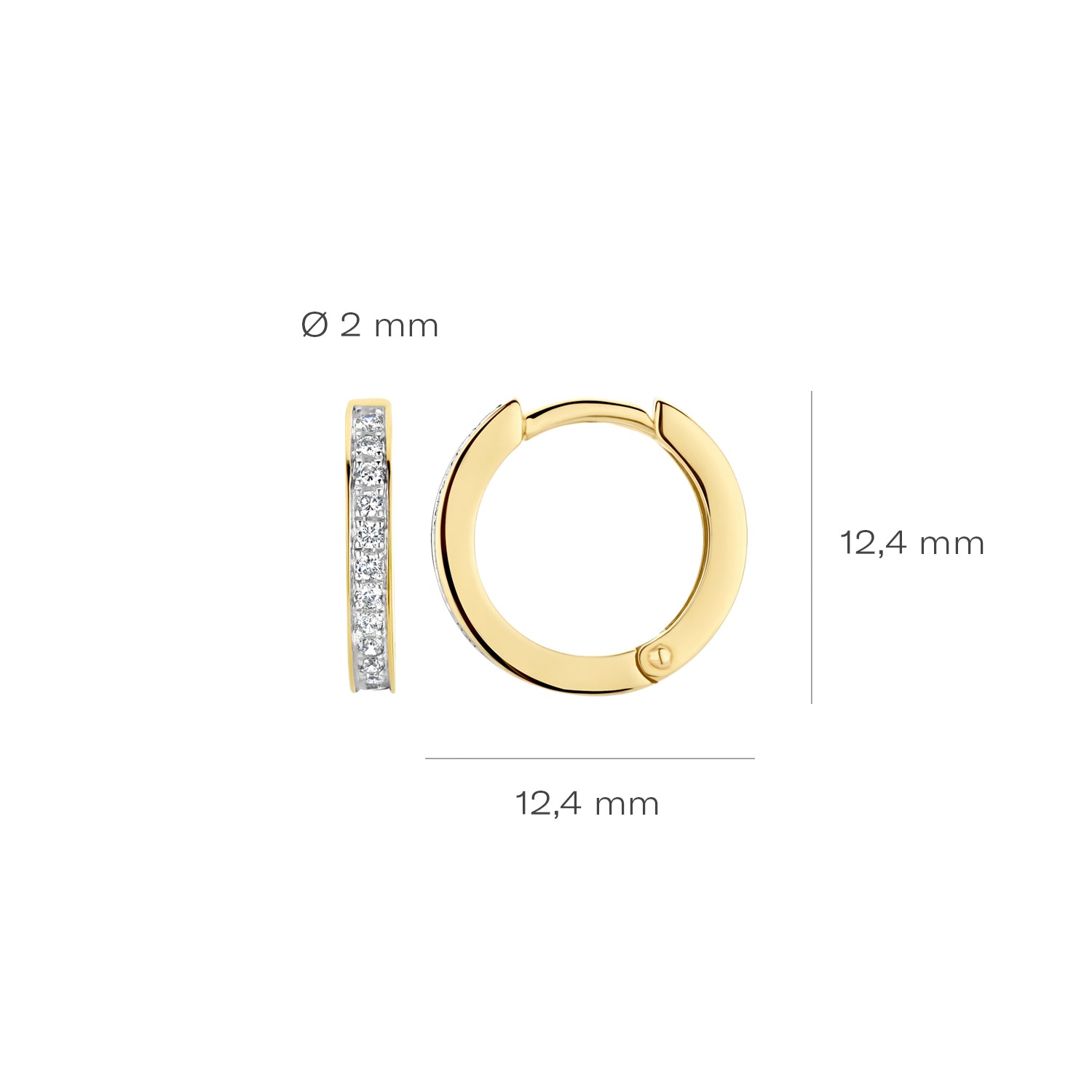 Blush Oorbellen 7163BZI