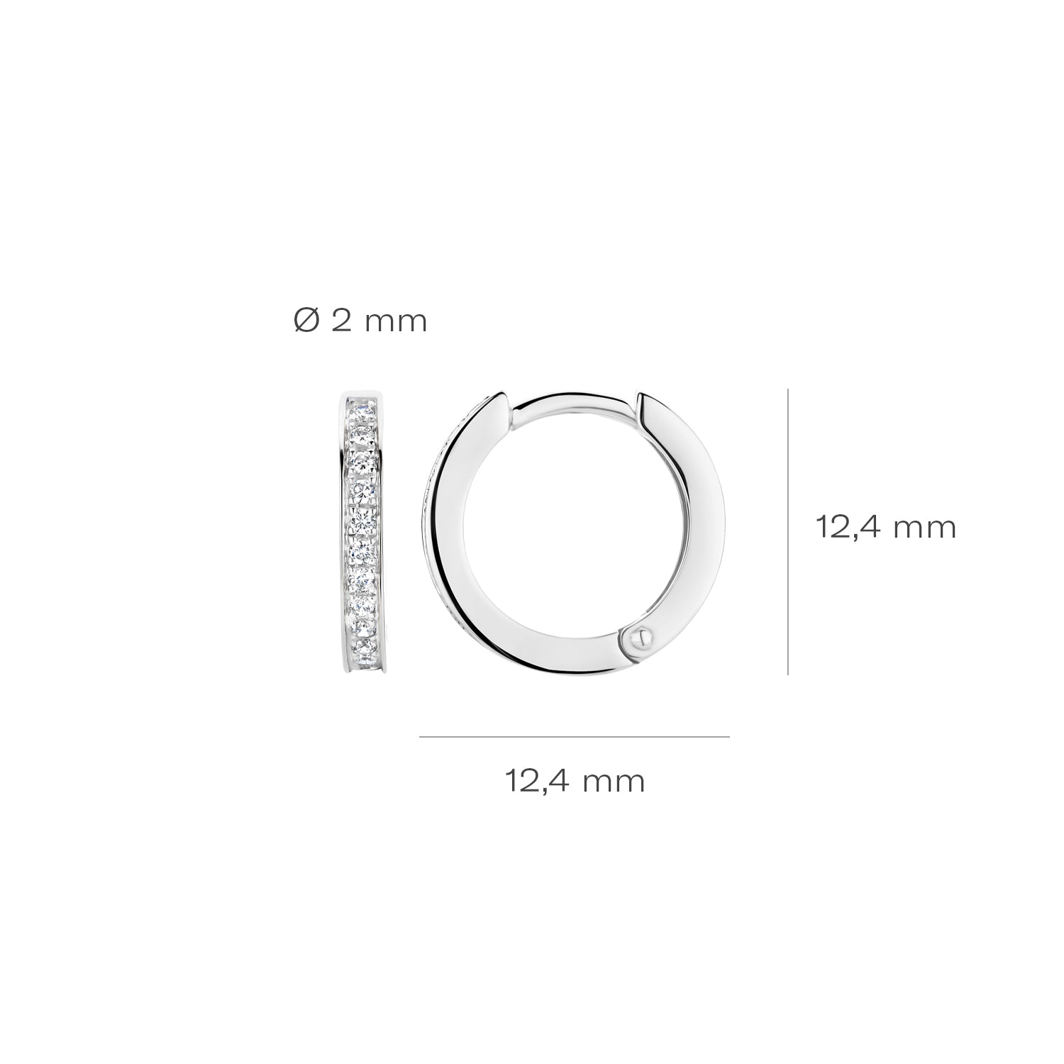 Blush Oorbellen 7163WZI