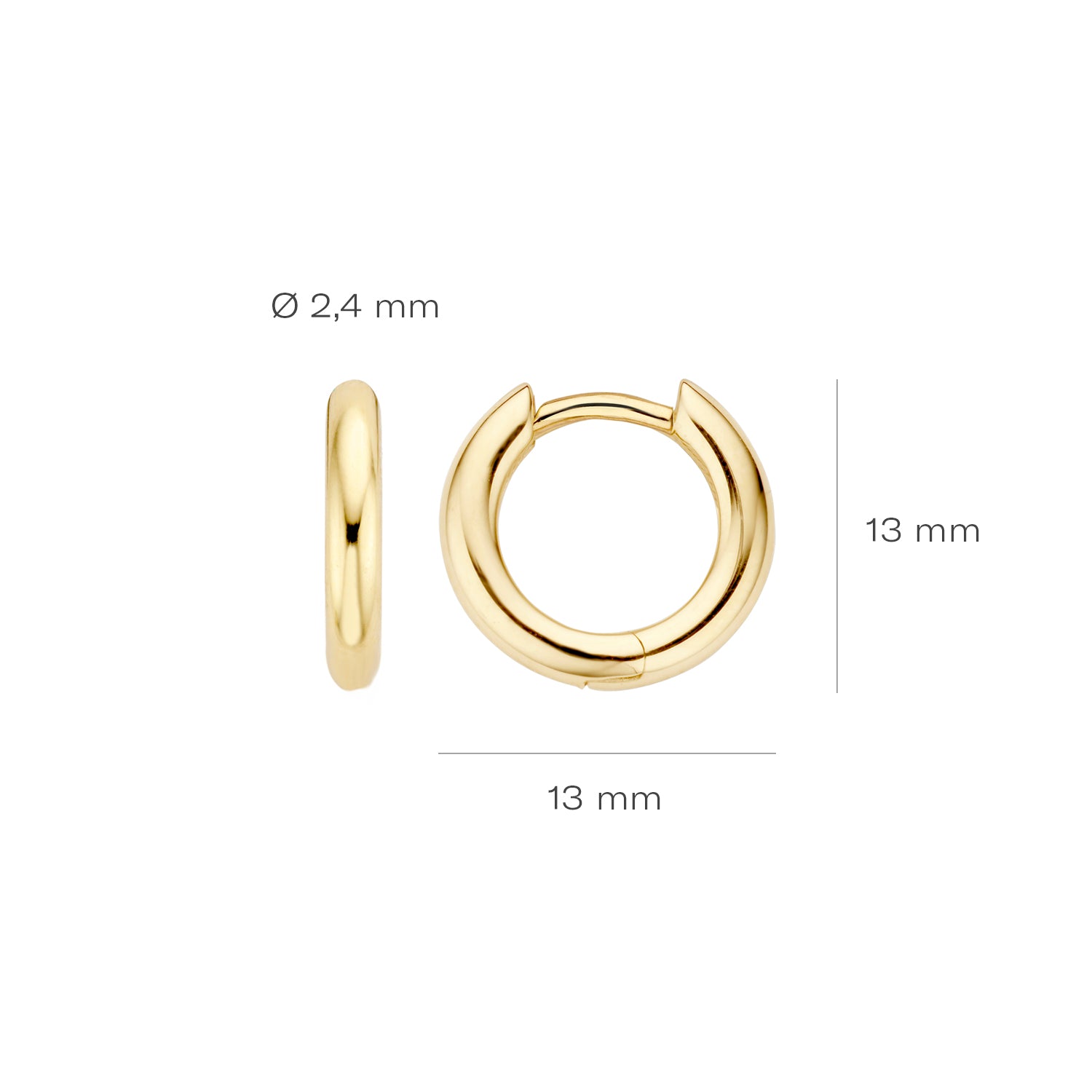 Blush Oorbellen 7165YGO -  Geel Goud (14k)