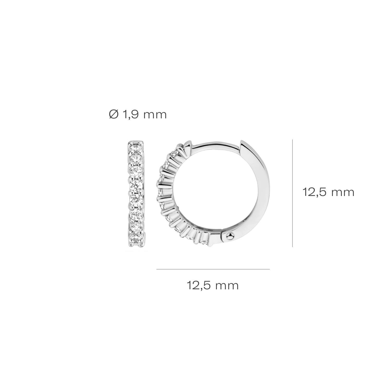 Blush Oorbellen 7166WZI -  Wit Goud (14k) met Zirkonia