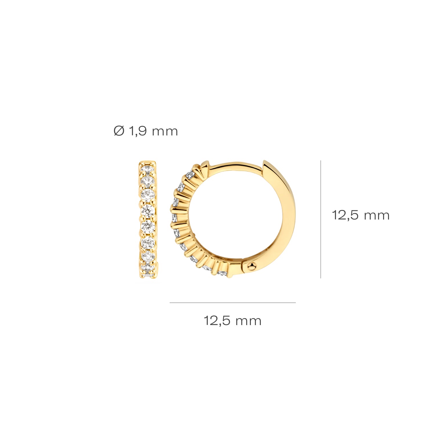 Blush Oorbellen 7166YZI