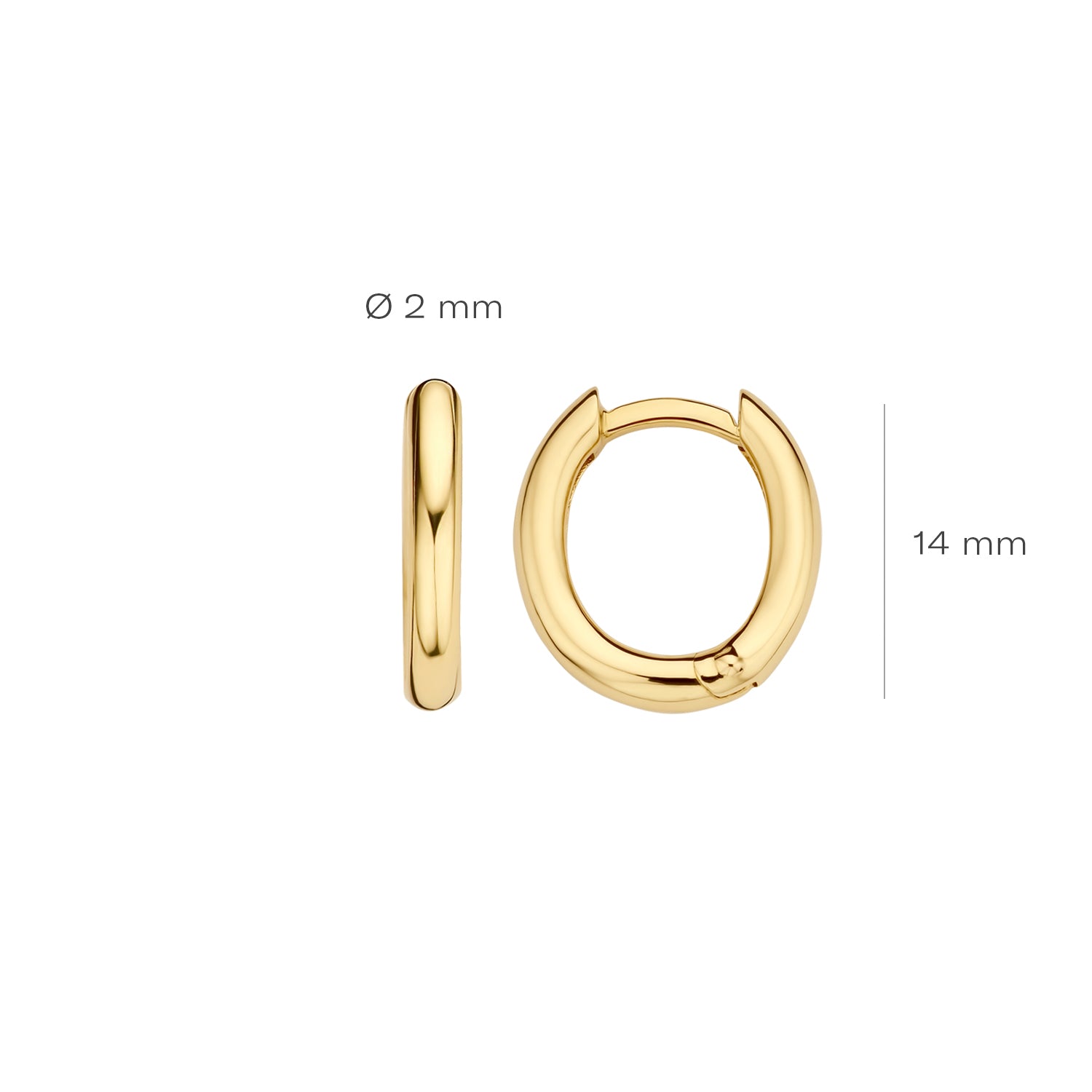 Blush Oorbellen 7217YGO - Geel Goud (14k)