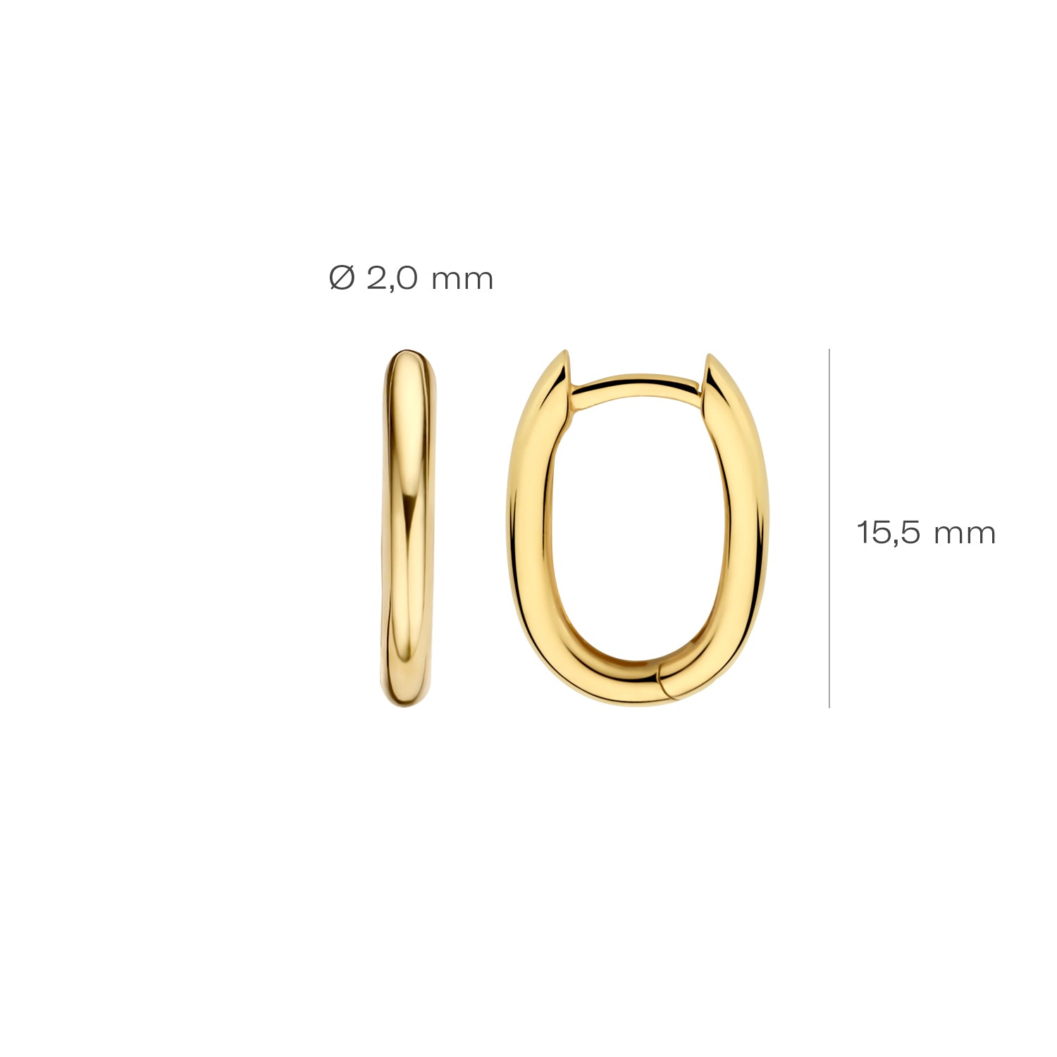 Blush Oorbellen 7218YGO - Geel Goud (14k)