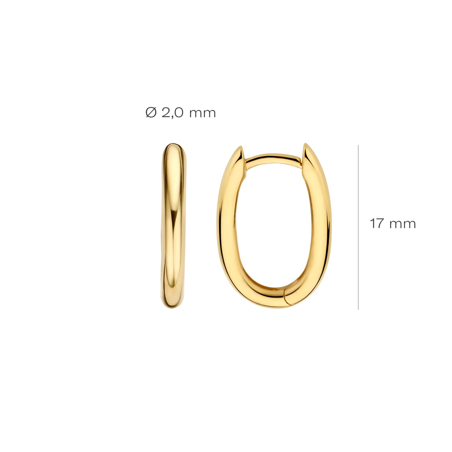 Blush Oorbellen 7219YGO - Geel Goud (14k)