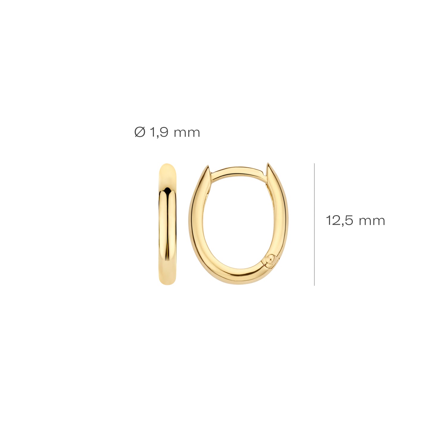 Blush Oorbellen 7224YGO