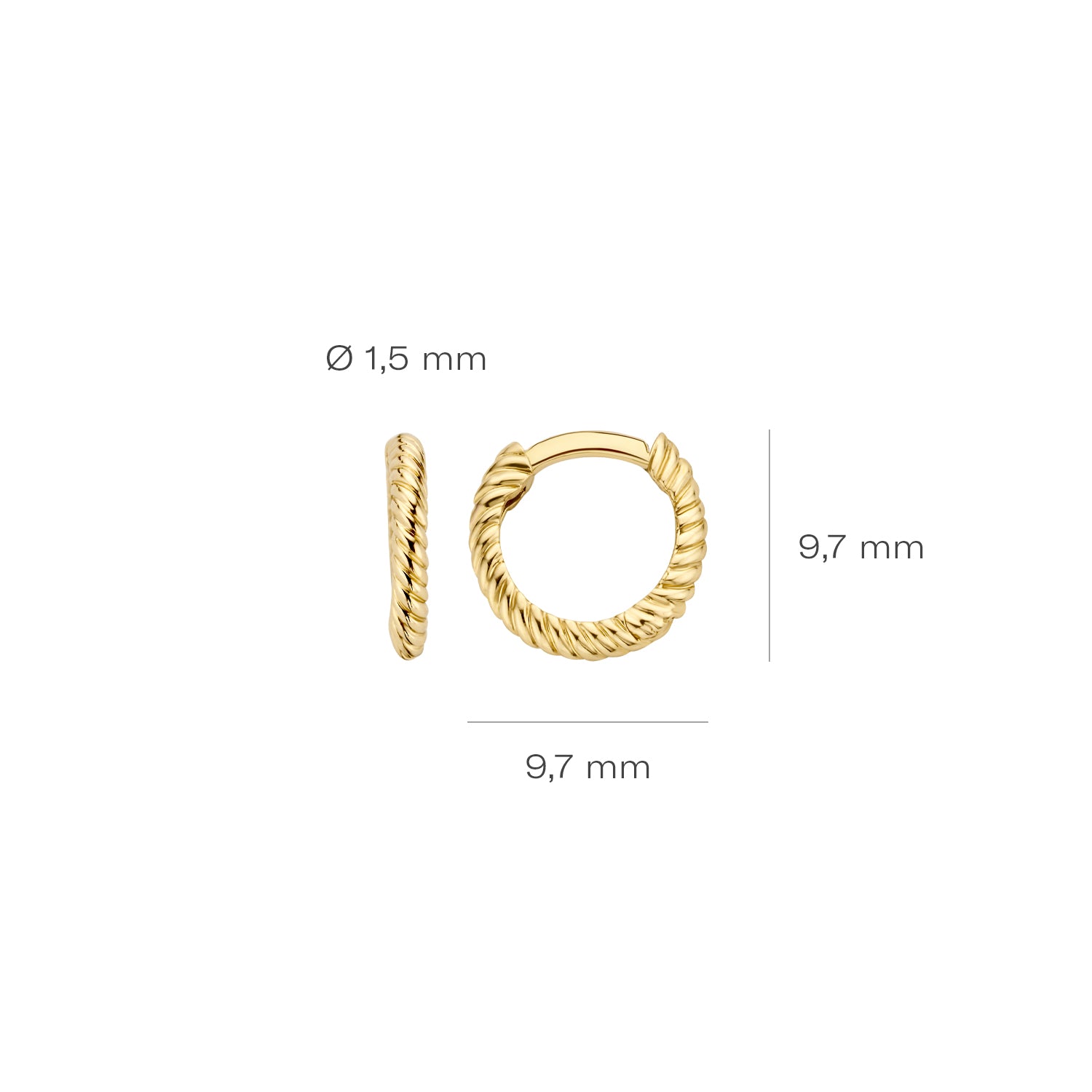 Blush Oorbellen 7231YGO