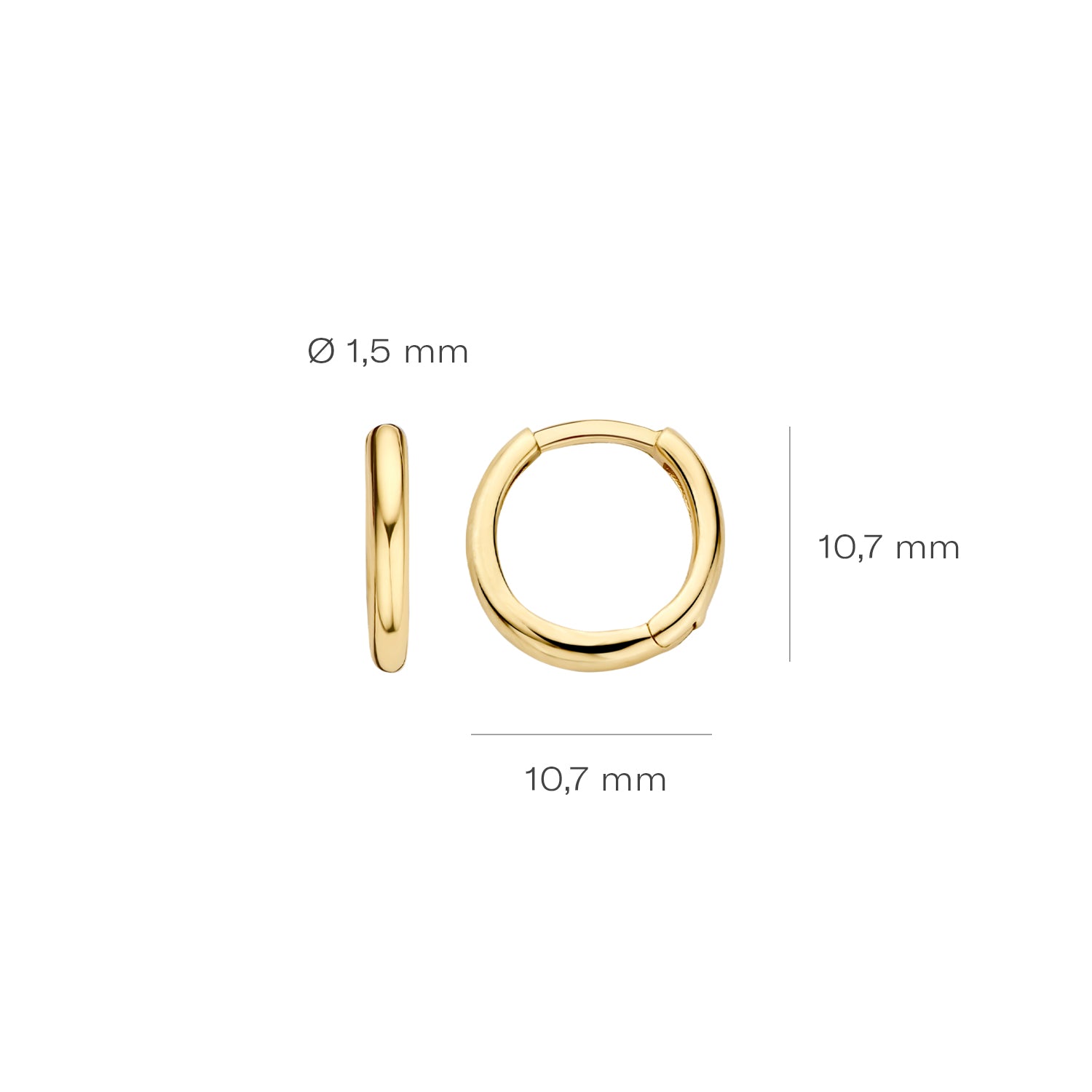 Blush Oorbellen 7232YGO