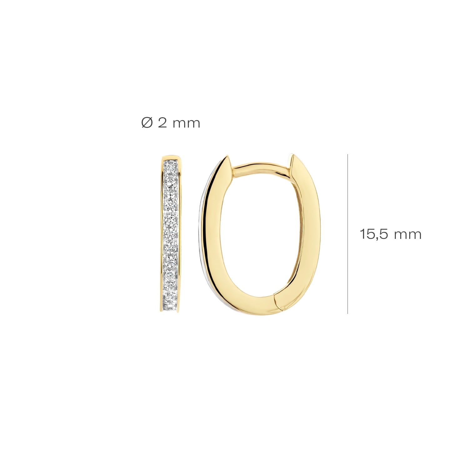 Blush Oorbellen 7234YZI - Geel Goud met Zirkonia (14k)