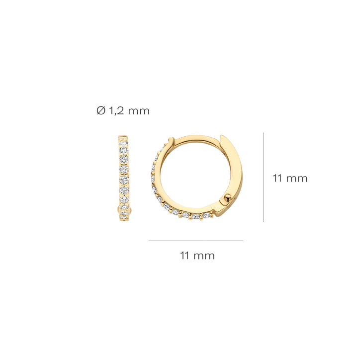 Blush Oorringen 7269YZI - Geel Goud (14k) met Zirkonia