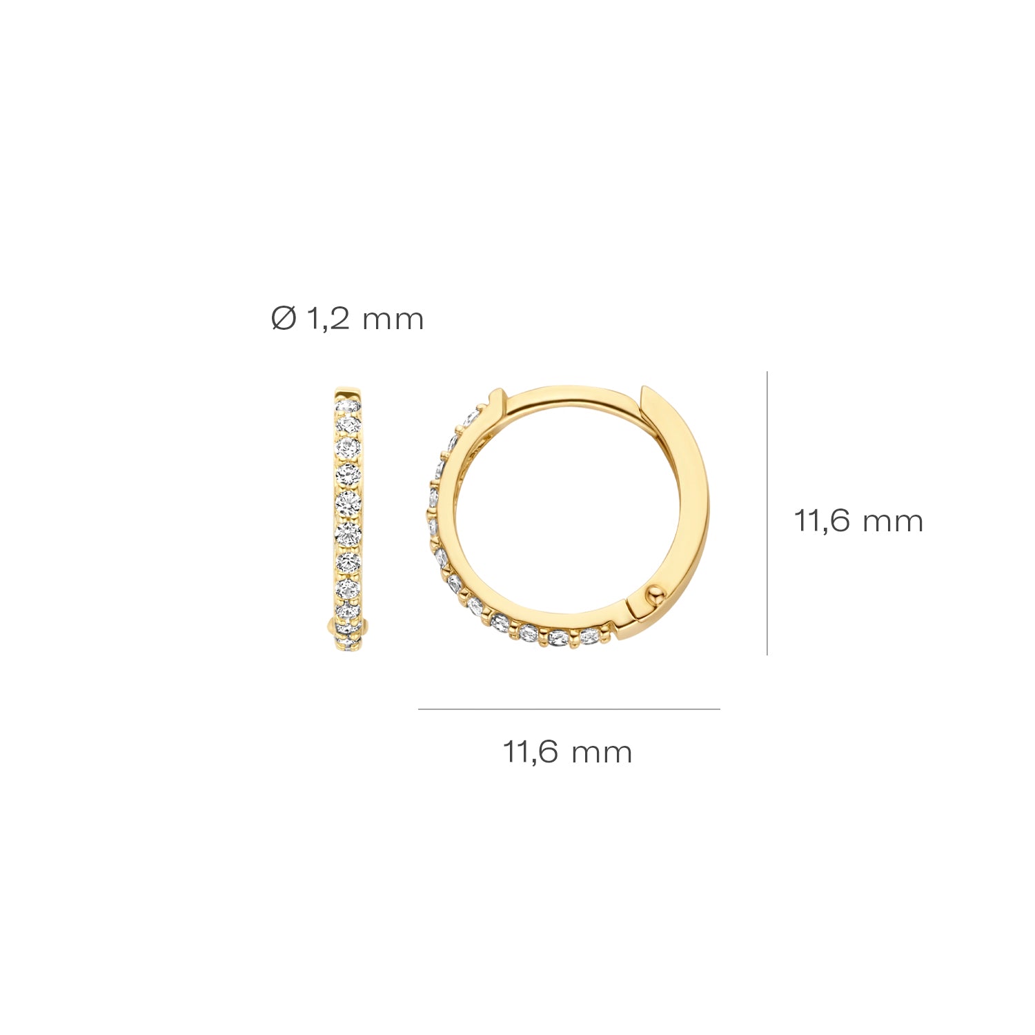 Blush Oorringen 7270YZI