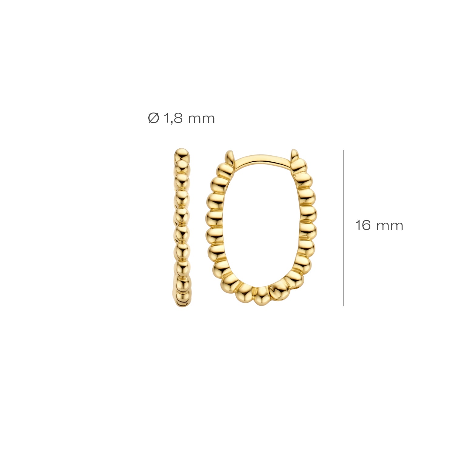 Blush Oorringen 7272YGO - Geel Goud (14k)