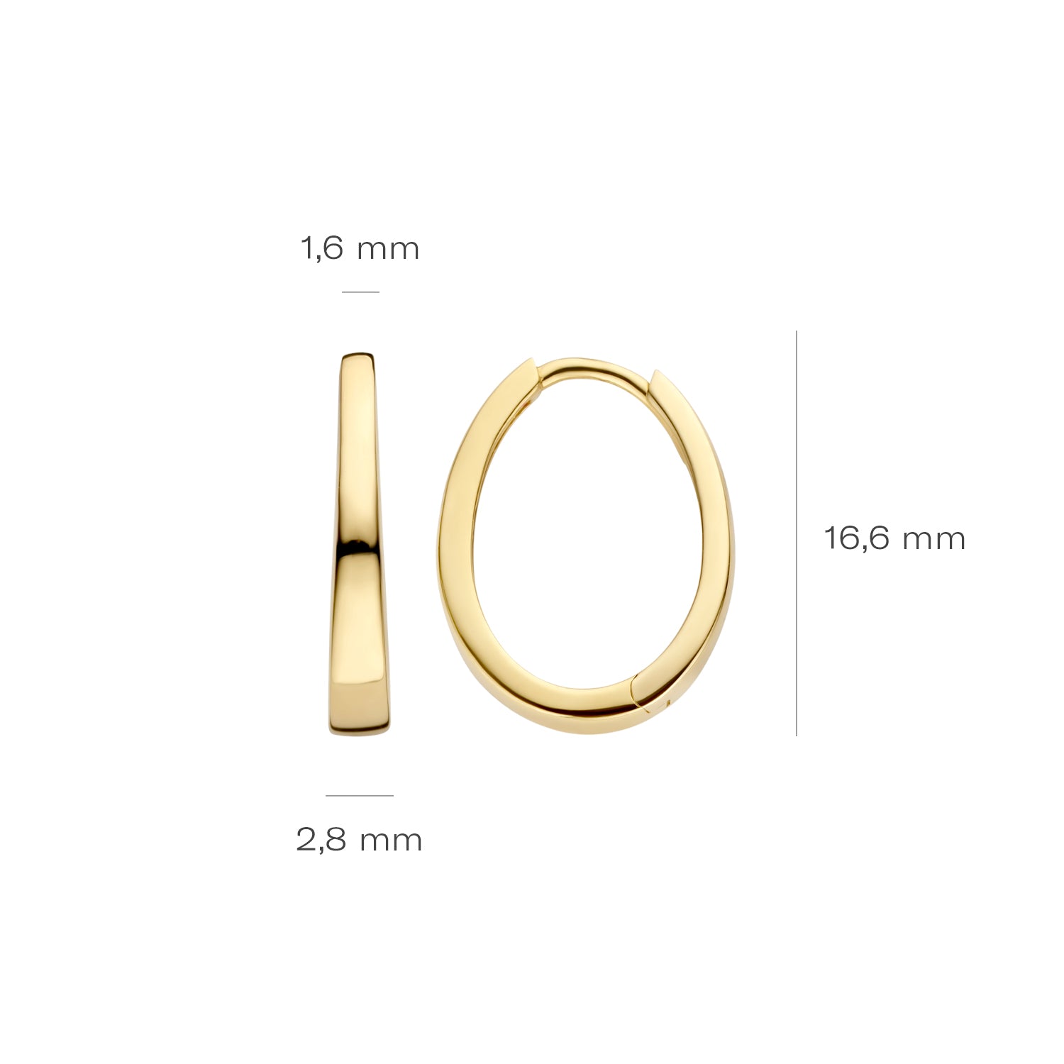 Blush Oorbellen 7278YGO