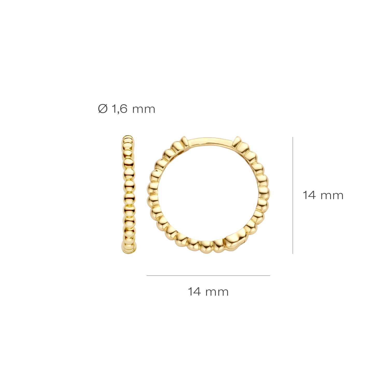 Blush Oorringen 7290YGO - Geel Goud (14k)