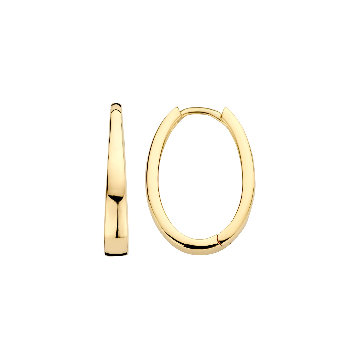 Blush Oorbellen 7303YGO - Geel Goud (14k)