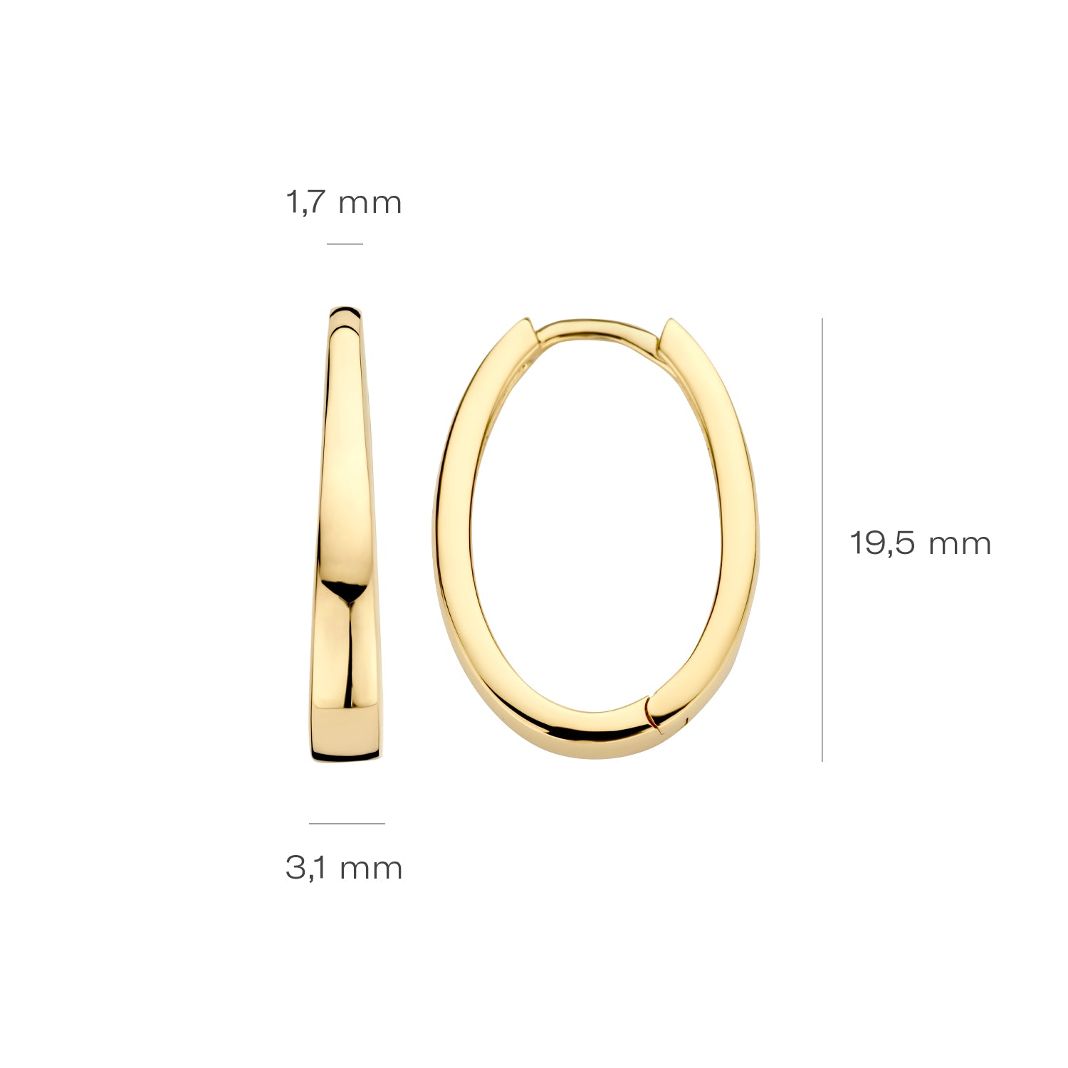 Blush Oorbellen 7303YGO - Geel Goud (14k)