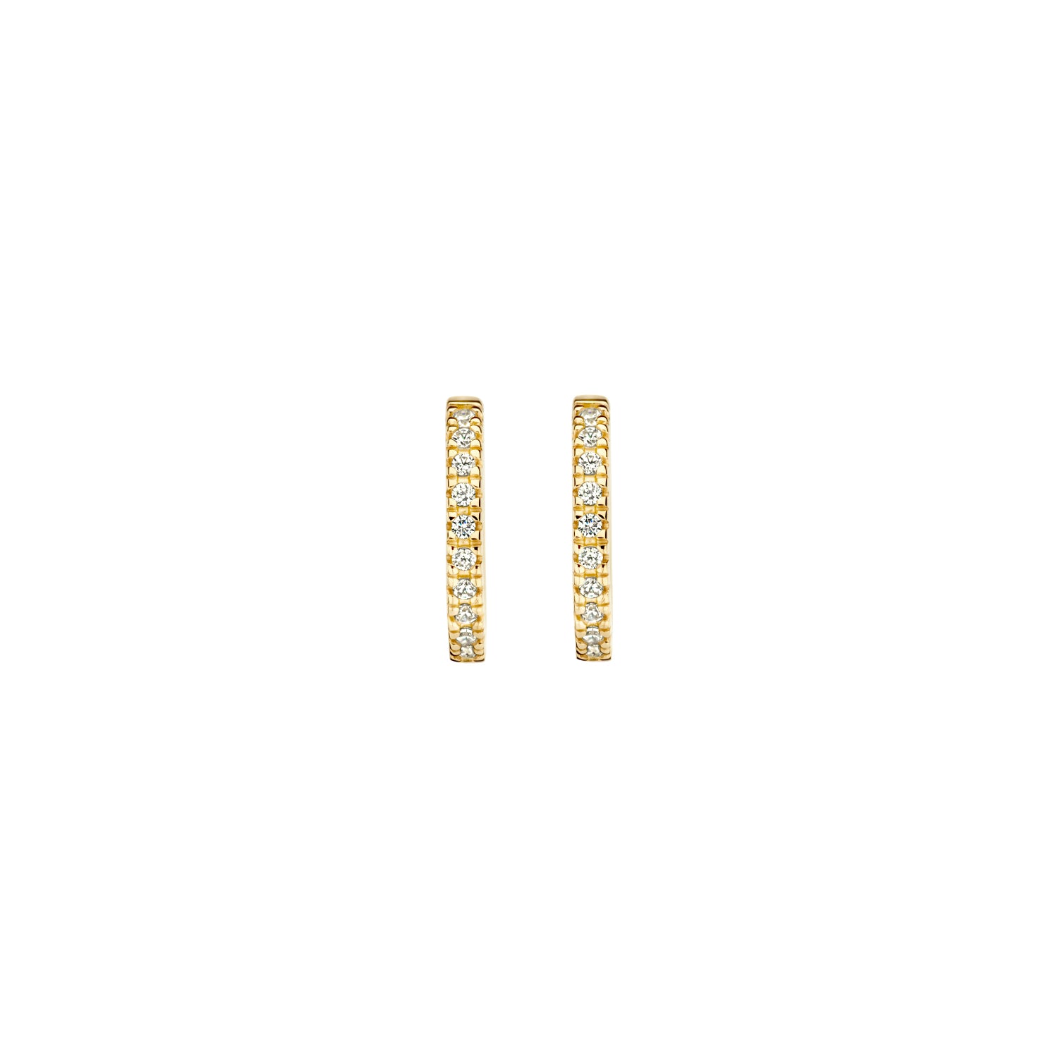 Blush Oorringen 7307YZI - Geel Goud (14k) met Zirkonia